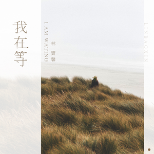 小川阿佐美黑人无码热
