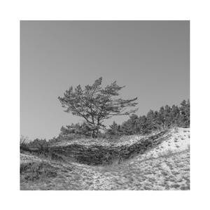 小川阿佐美黑人无码热
